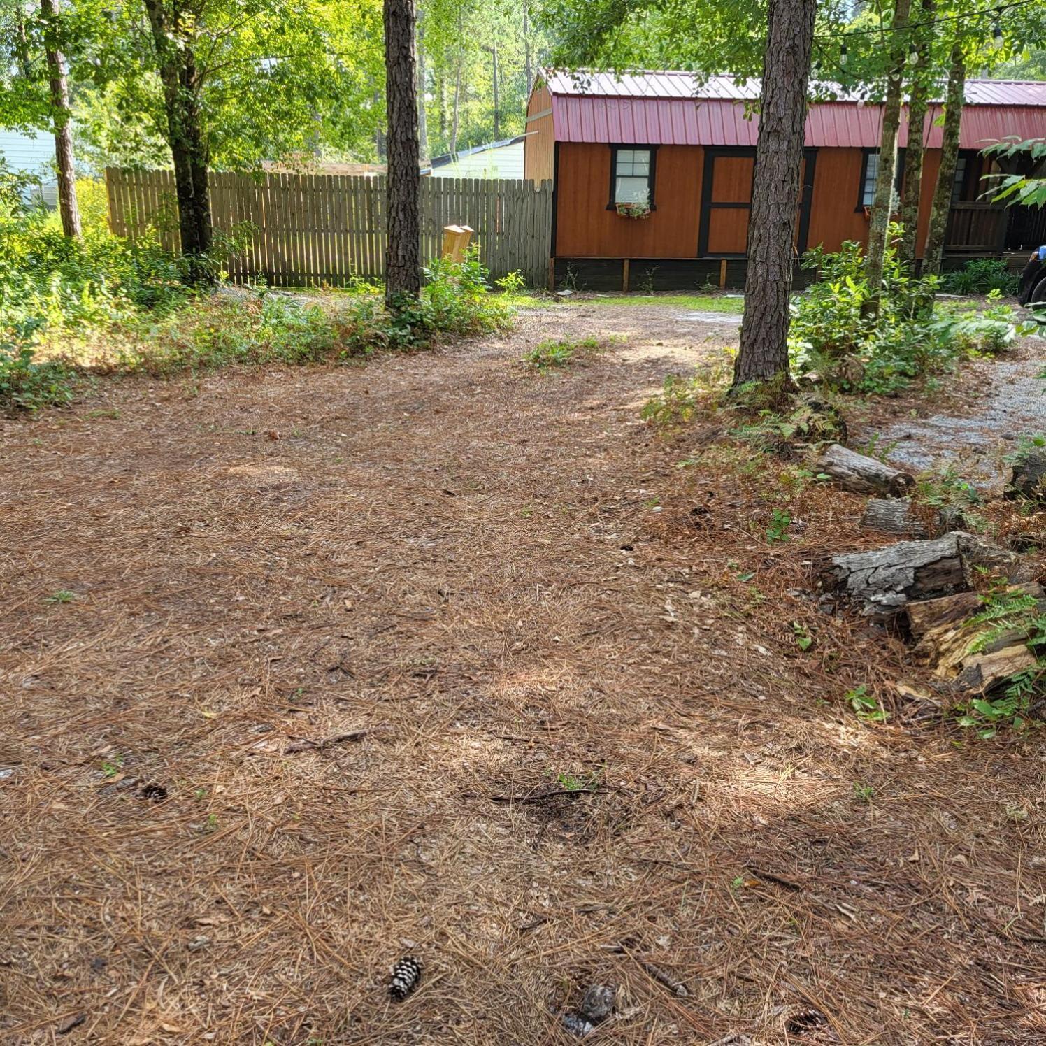 Fern Gully Cabin Conway Εξωτερικό φωτογραφία